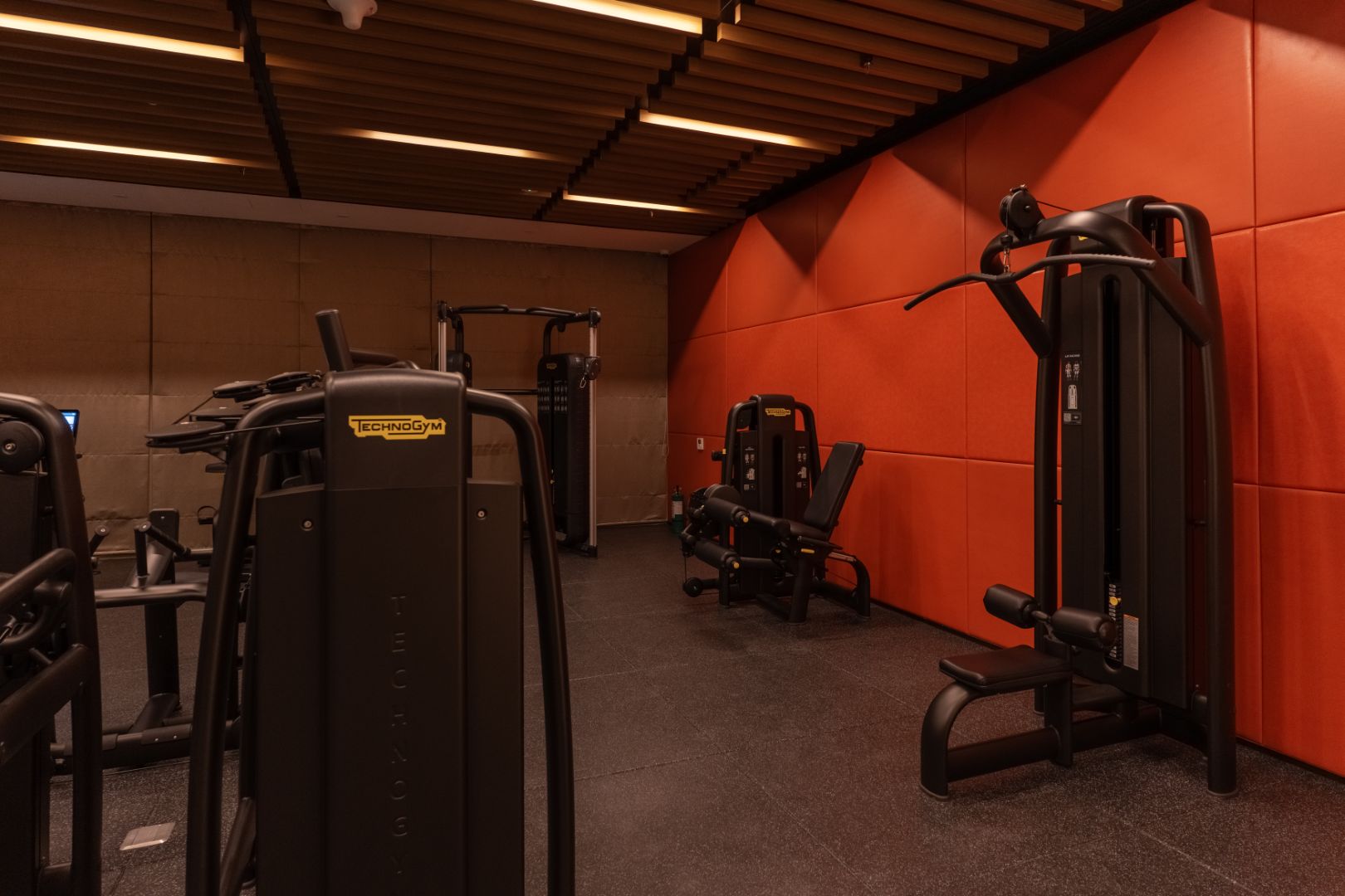 JAY09486-Large